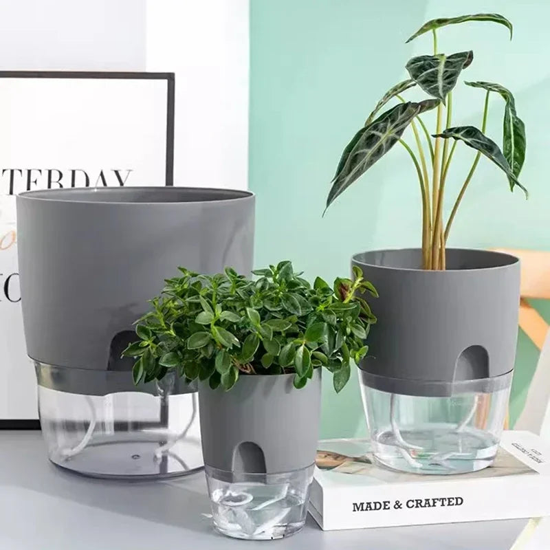 Pot auto arrosant hydroponique moderne transparent double couche coton succulenteintérieur déco jardin