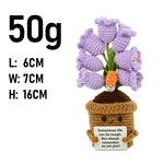 plantes crochet décoratives pots fleurs artisanales couleur blanc vert marron rose jaune bleu