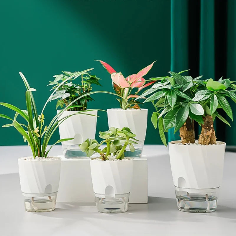 Pot plante moderne blanc ridge verticale auto arrosage transparent hydroponie fleur verte
