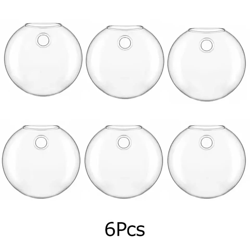 vases murals verre transparent modernes minimaux plante graine sable