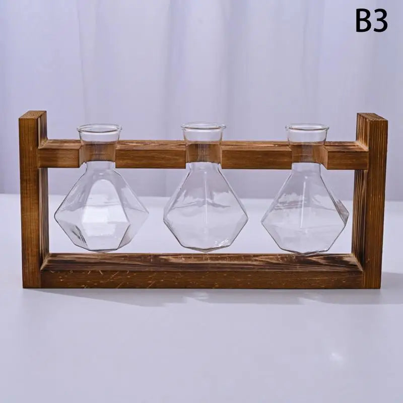 support plantes cadre bois marron verre transparent modernes vases coeurs plantes vertesintérieur décoration minimaliste