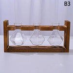 support plantes cadre bois marron verre transparent modernes vases coeurs plantes vertesintérieur décoration minimaliste