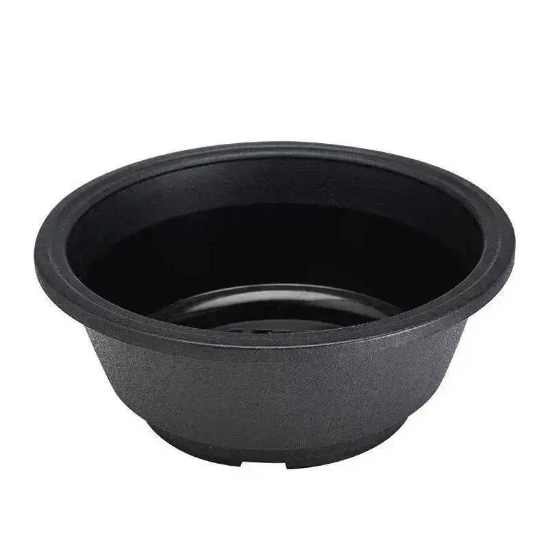 pots fleurs succulentes transparents pots jardin pots minimalistes pots plante pots plastique pots pots