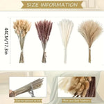 bouquet fleurs séchées pampa plumes fines beige blanc rose pâle naturel rustique clips decoration