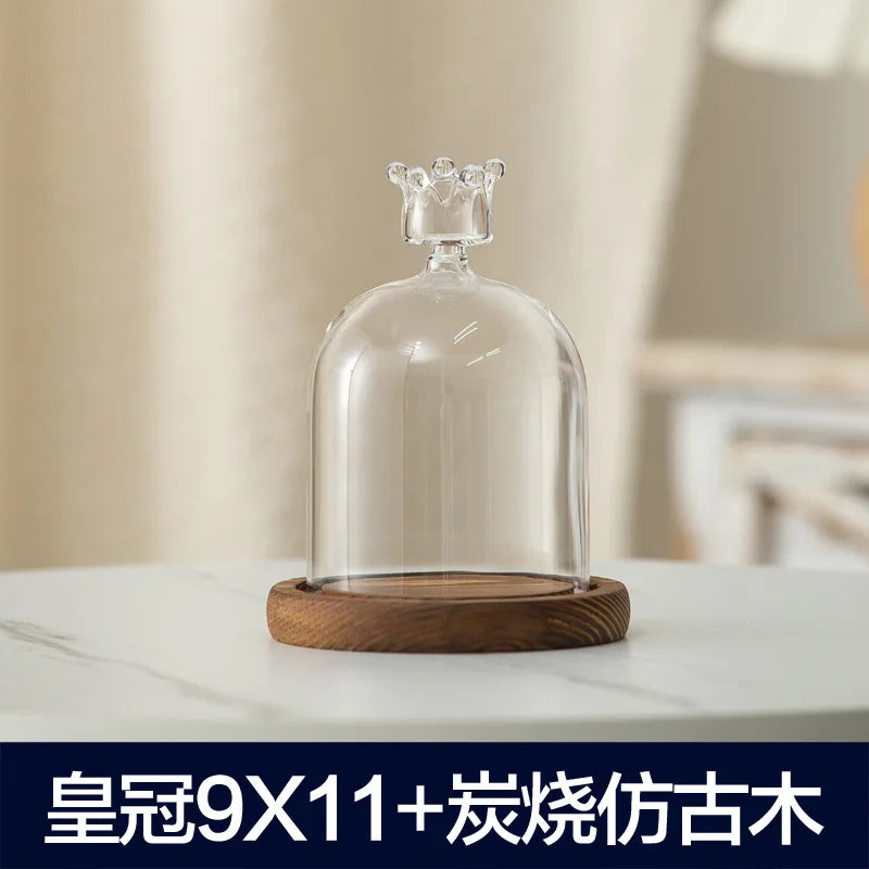 cloche verre transparent base bois bougie parfumée pinçon décoratives