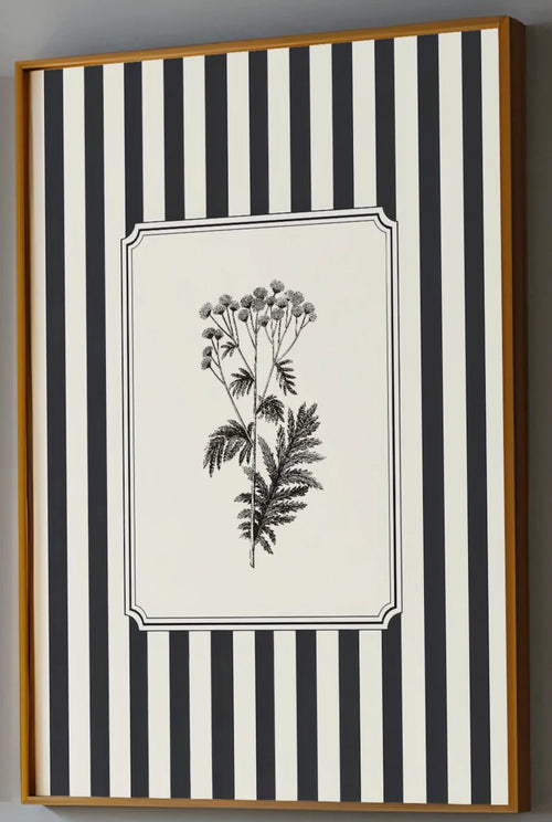 affiche encadrée classique botanique rayures noir blanche abstract toile 40x60cm 50x70cm minimaliste