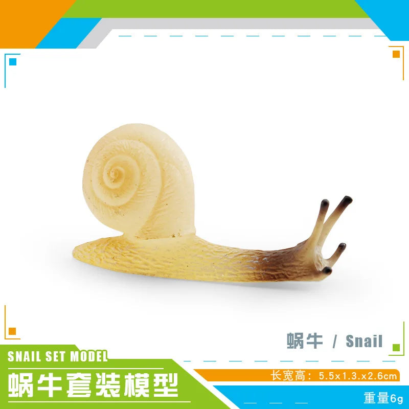 décoration miniature escargot coquille rayées réaliste couleur beige marron orange noir