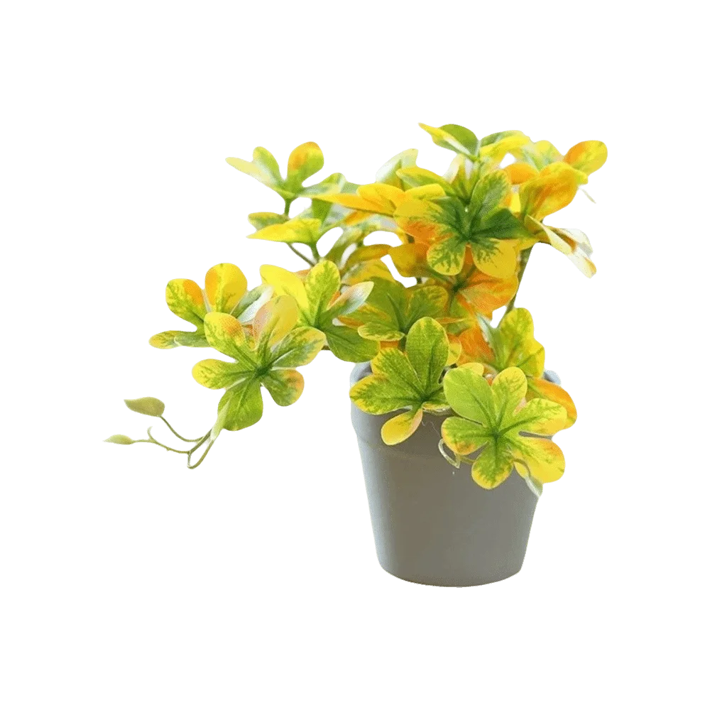 plante artificielle verte feuilles rondes moderne pot gris extérieur accrochée