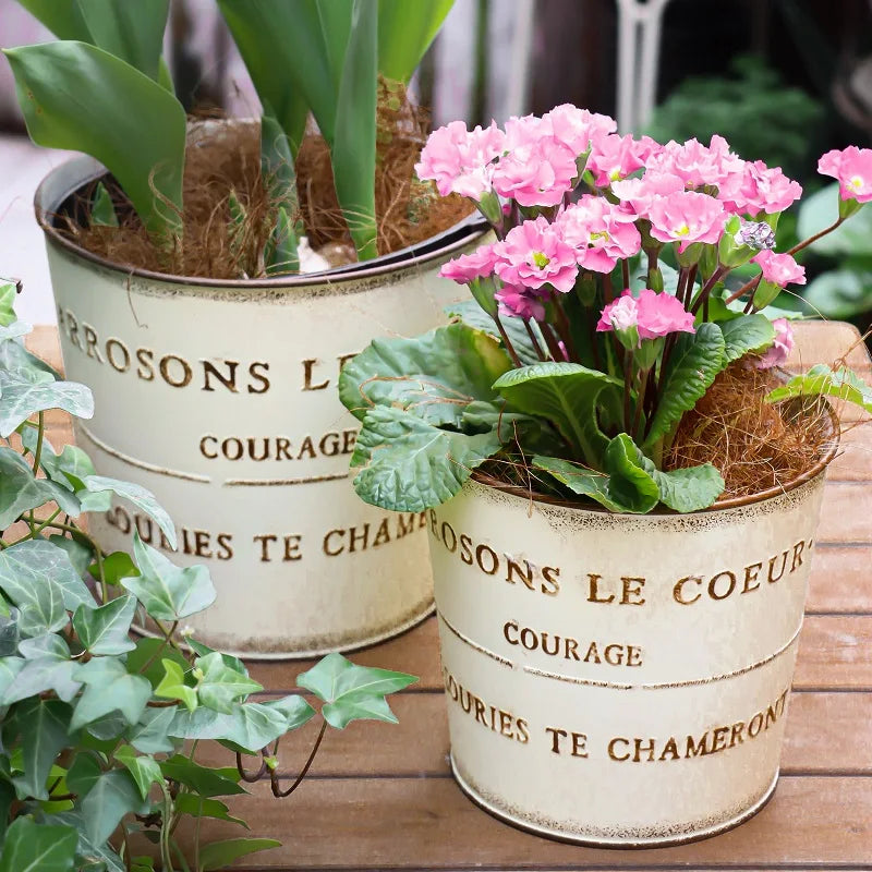 pots fleurs métal vintage rustique blanc crème bronze cyclamen tulipes succulentes bonsaï drainageextérieur balcon