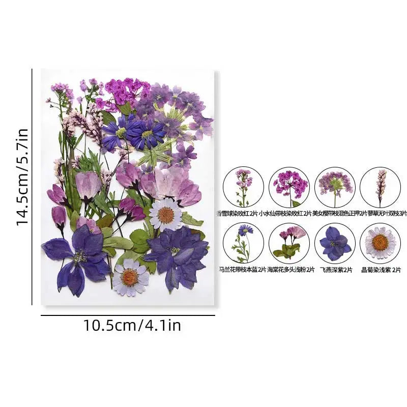 fleurs séchées violet bleu rose jaune naturelles décoration maison intérieur variés différents