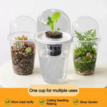 Pot plante moderne auto arrosant transparent controle racines drainage ornemental fleuri