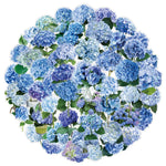 autocollants fleurs hydrangeas bleu violet blanc 50pièces bricolage scrapbooking téléphone bagages skateboard imperméables