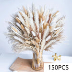 décoration maison bouquet dried flowers naturelles pampas beige rustique vase