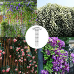 support plante grimpante métal noir structure circulaire annneau horizontal moderne jardin 150cm