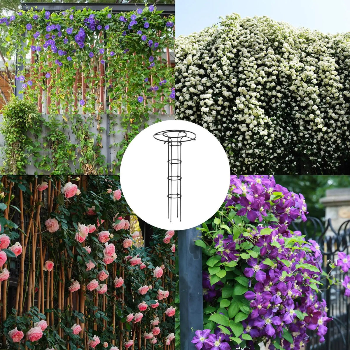 support plante grimpante métal noir structure circulaire annneau horizontal moderne jardin 150cm