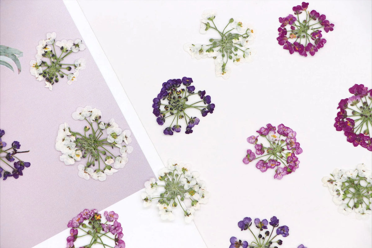 bouquet fleurs séchées violettes blanches naturel artisanal décoration intérieure événement personnelle anniversaire baby shower