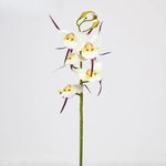 décoration mariage orchidées artificielles 5pcs violet blanc jaune modernes intérieur
