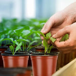 pots semis plastique rouge moderne perforés plantes pots fleurs jardinerie culture