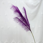 plumes décoratives intérieures violet bleu rose jaune orange blanc rouge naturel simple