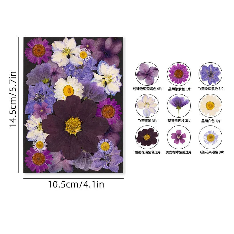 fleurs séchées violet blanc orange bleu rouge naturel décoration maison intérieur bijoux anniversaire