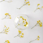 fleurs séchées bouquet naturel violet blanc jaune décoration intérieure minimaliste anniversaire baby shower