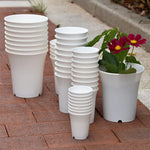 pot fleurs rond blanc plastique plante succulente décoration jardin maison
