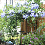 support plante grimpante métal moderne noir structure circulaire rectangulaire jardin dimensions variées 120cm 150cm