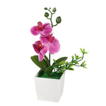 décoration intérieure orchidée artificielle pot blanc fleurs simples feuilles vertes moderne