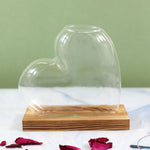 vase verre forme cœur transparent moderne plante verte support bois