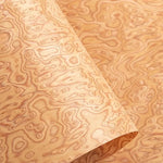 placage papier beige clair imitation bois naturel rectangle opaque 58x250cm