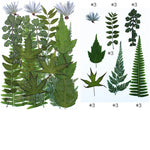 Fleurs séchées vertes et colorées pour créations résine