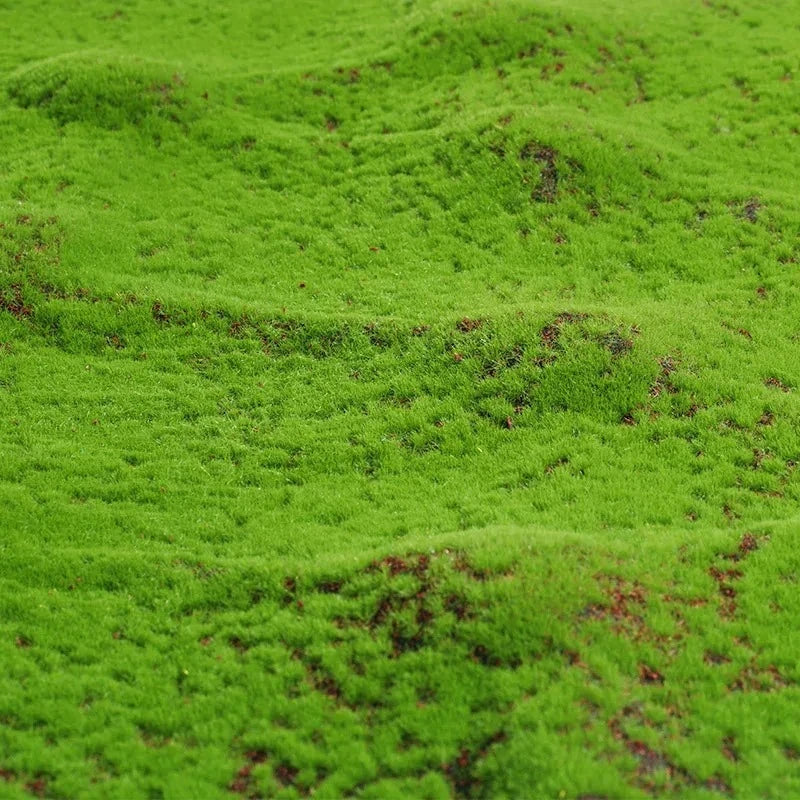 tapis artificiel vert vif texture pelucheuse moderne extérieur festival mariage exposant