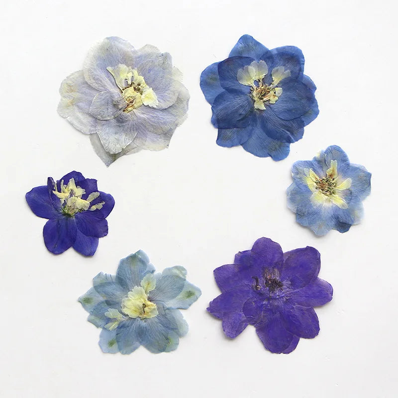 fleurs séchées bleu blanc jaune naturelles petals décor intérieur anniversaire cadeau art artisanal