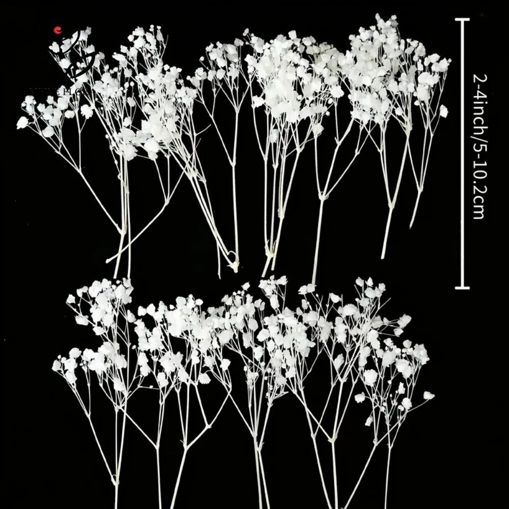 bouquets fleurs séchées blanches décoration intérieure anniversaire mariage baby shower pendaison crémaillère