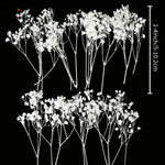 bouquets fleurs séchées blanches décoration intérieure anniversaire mariage baby shower pendaison crémaillère