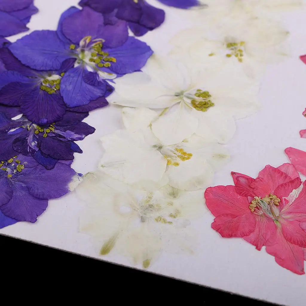 fleurs séchées naturelles violettes blanches roses décoration maison anniversaire art résine bougies petals stamens