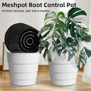 pots fleurs transparents blancs noirs modernes trous d'air drainage efficace plantes intérieures