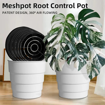Cache-pot Meshpot 25 cm blanc avec trous d'air pour orchidée