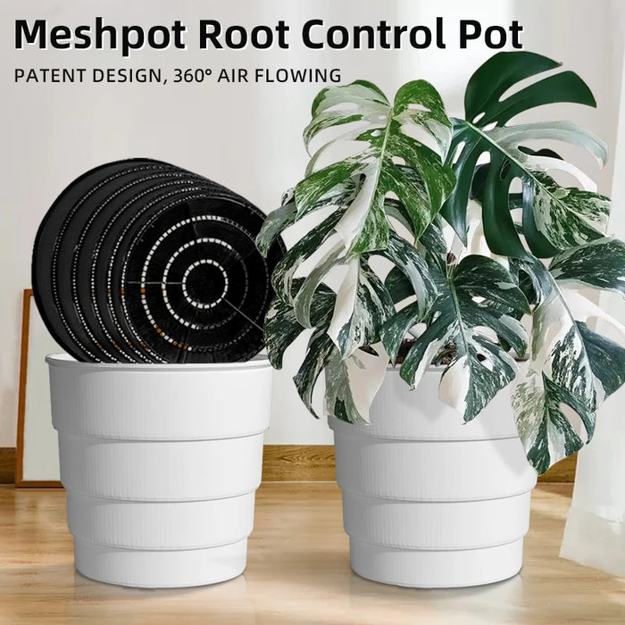 Cache-pot Meshpot 25 cm blanc avec trous d'air pour orchidée