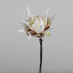 fleurs artificielles king protea blanc vert rose decoration maison anniversaire mariageintérieur