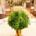 décoration extérieure arche verte feuillage dense naturelle rustique événements anniversaires fêtes mariage