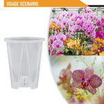 cache pot transparent moderne pot fleur sans motif 10cm 12cm 14cm 16cm ornement