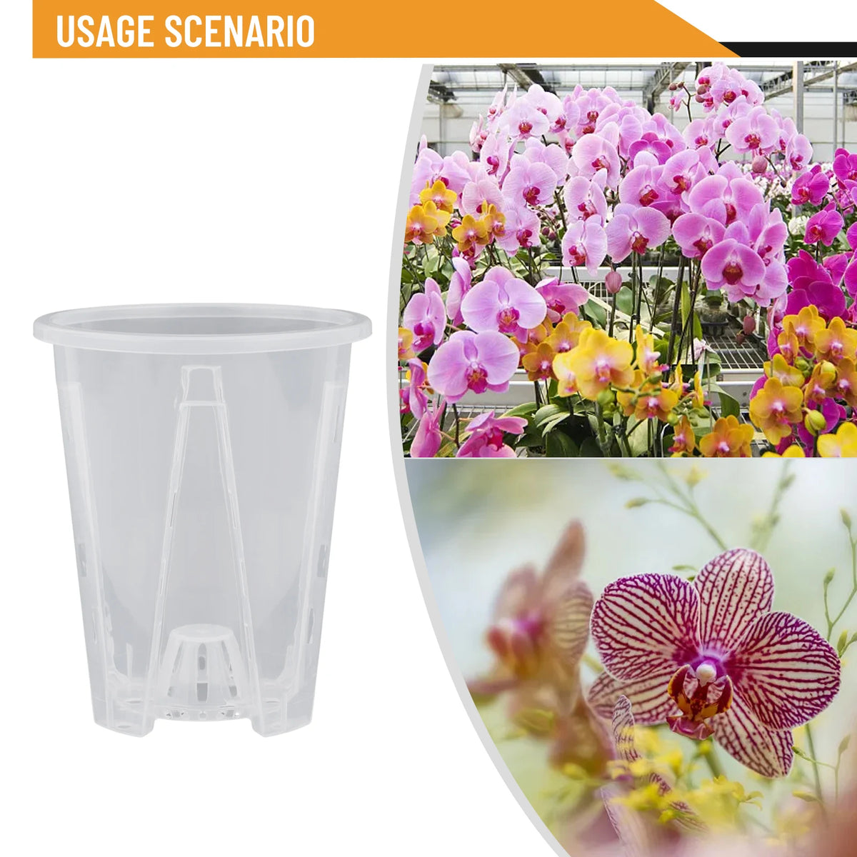 cache pot transparent moderne pot fleur sans motif 10cm 12cm 14cm 16cm ornement