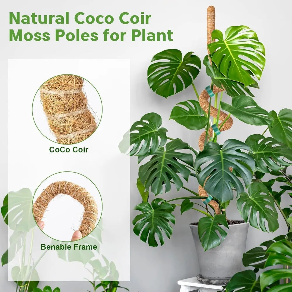 poteaux support plantes mousse coco pliables osier décoration jardin intérieur minimaliste naturel