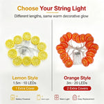 guirlande lumineuse citron orangera lime led festive chambre salon noel