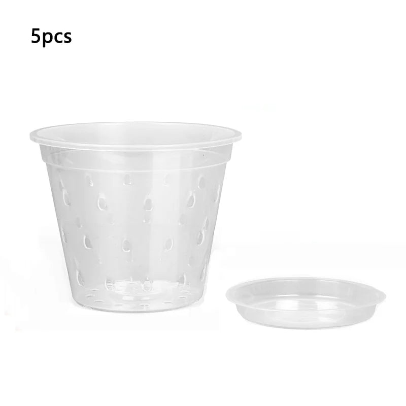 Pots fleurs transparents perforés moderne 11cm 12.5cm 14cm 15cm 17cm 5pcs