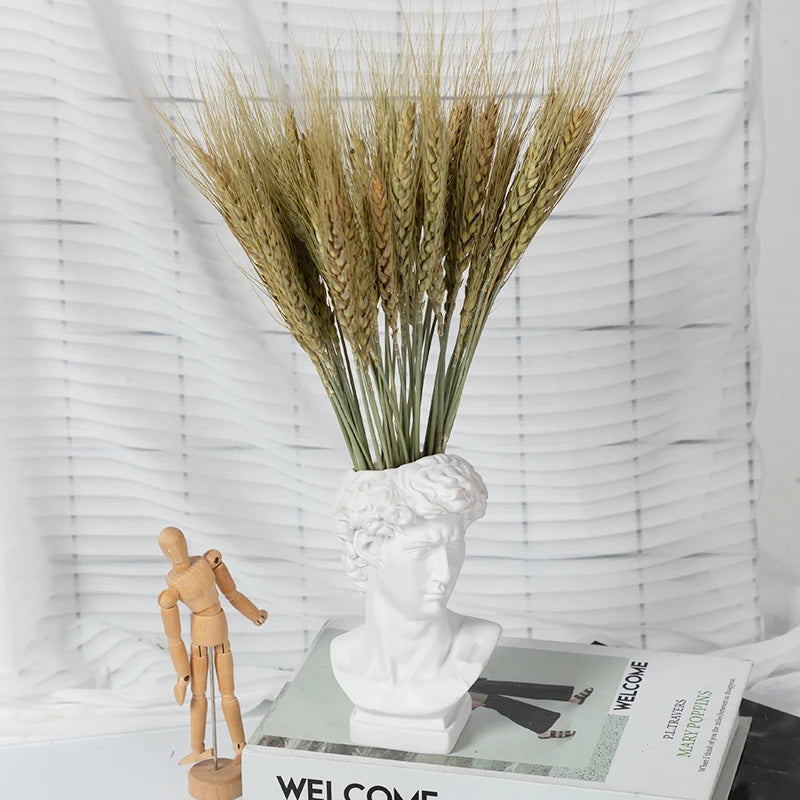 décoration maison plante séchée pampa moelleuse naturelle vase dried flowers beige rustiqueintérieur