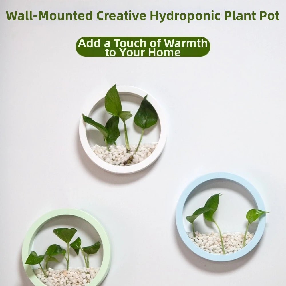 pot hydroponique mural moderne blanc noir rose bleu clair fixé mur transparent uni