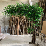 plante verte artificielle arbre banyan extérieur moderne feuilles vertes tronc brun herbe synthétique exposition