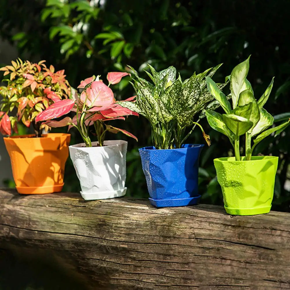 Pots plantes vertes durables multifacettes couleurs blanc orange bleu moderne